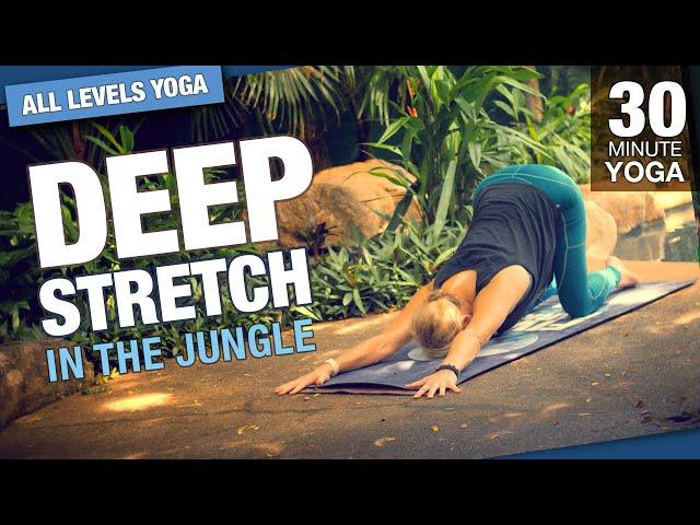 30 Minute Deep Stretch Jungle Yoga Class - Five Parks Yoga