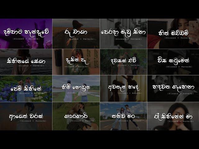 තනියම ඉන්න වෙලාවට අහන්න ️ Manoparakata (Slowed+Reverb) Best Sinhala Song Collection - Playlist 18