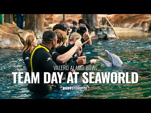 Colorado Buffaloes spend Christmas afternoon at SeaWorld for 2024 Alamo Bowl Team Day