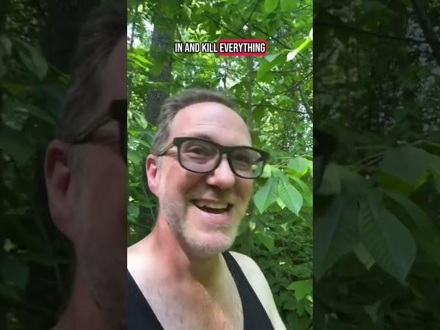 Instant food forest: install a Paw Paw “On Switch”