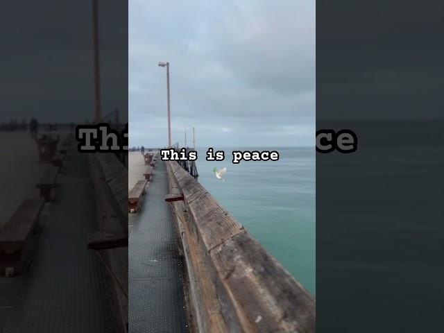 Peaceful #foryou #fyp #peace #ocean #beach #happy py
