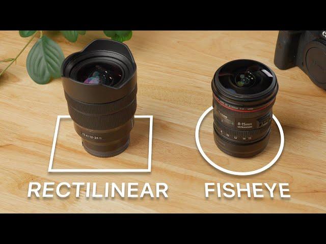 Rectilinear vs Fisheye Lenses for Underwater Wide Angle Photography