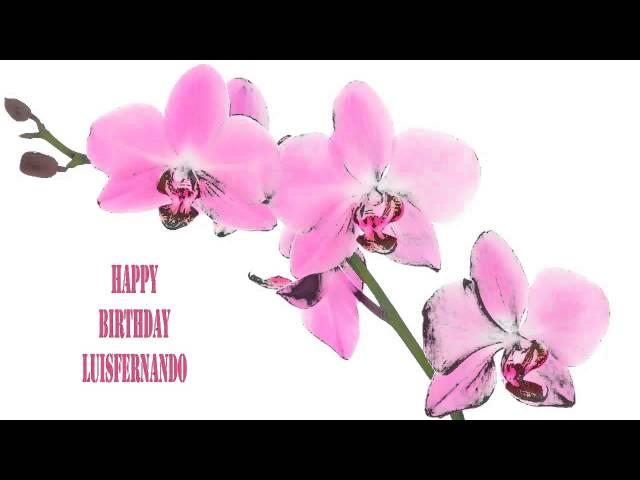 Luisfernando   Flowers & Flores - Happy Birthday