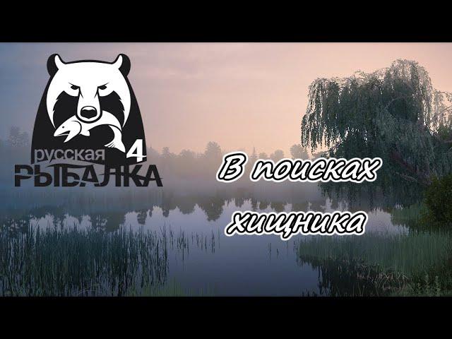 Русская рыбалка 4 сезон охоты открыт #стрим #русскаярыбалка4