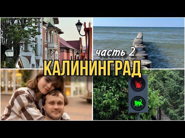 Зеленоградск // Светлогорск // Куршская коса. Большое путешествие по Калининградской области