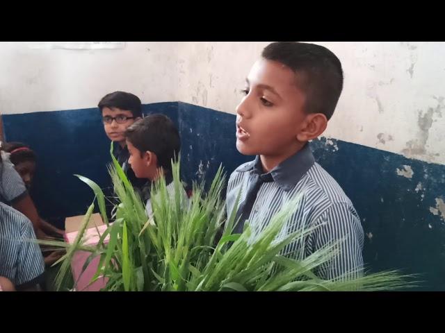 Science fair