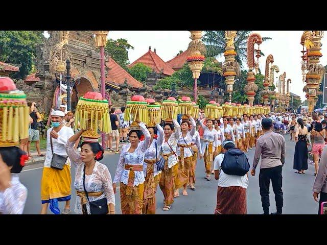 UBUD! MOMEN YANG DI NANTI NANTIKAN BULE DUNIA, SUASANA UBUD TERBARU