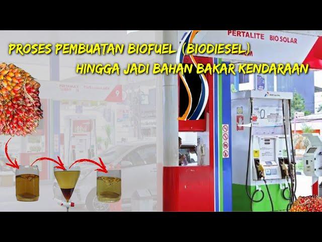 Proses Pembuatan Biodiesel Hingga Jadi BBM