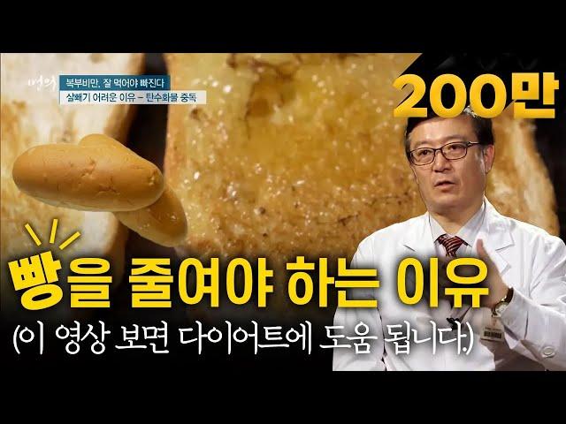 소식하는데도 살이 찌는 이유?? 명의가 알려주는 살빼기 어려운 이유와 탄수화물 중독 | 복부비만, 잘 먹어야 빠진다 #다이어트