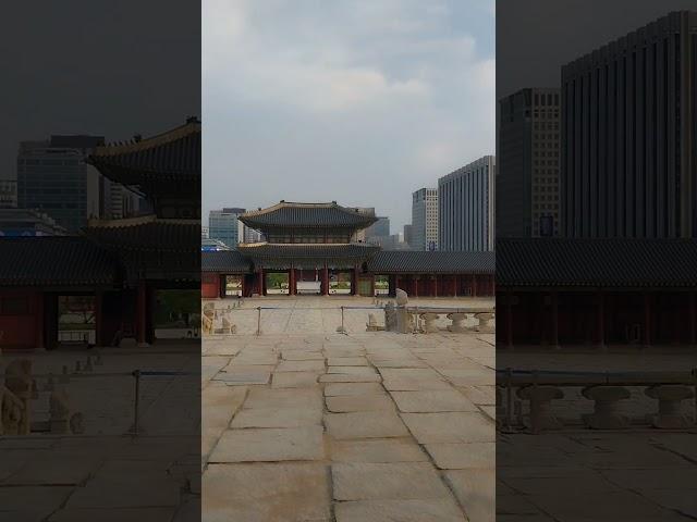 아무도 없을때 나혼자 영상을 찍을수 있는 행운을 가질수 있어 행복합니다 서울 경복궁 근정전