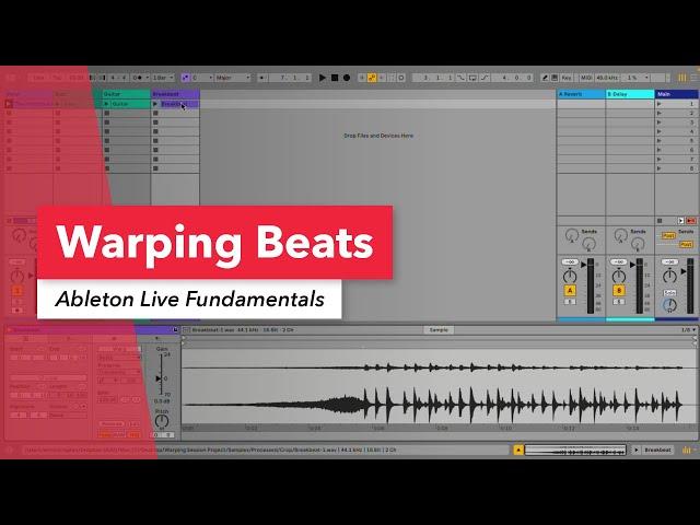 Ableton Live: Warping Beats | Warp Tool | Music Production | Berklee Online | Erin Barra