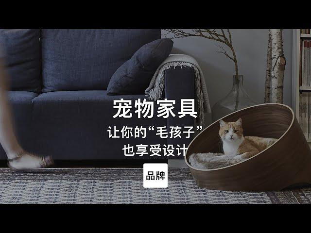 第92集｜让你的“毛孩子”也享受设计 宠物家具