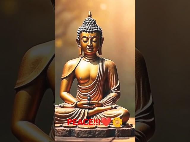 Buddha.#shorts #shortfeed #viralvideo #trendingshorts #healing #relaxingmusic #love #meditationmusic