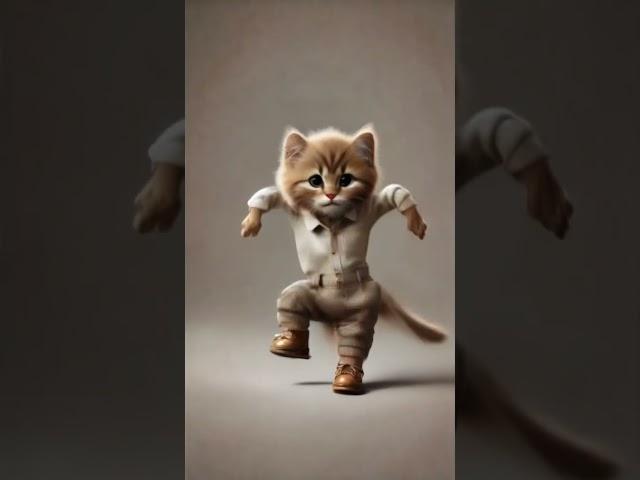 smart cat dance #cat #animaldance #petdance #cute #catdance