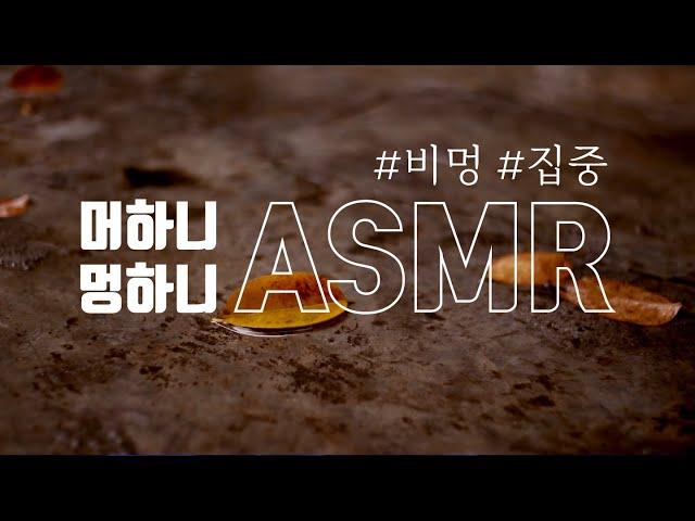 [멍ASMR] 마음을 촉촉히 적셔주는 가을비️| 비멍, 집중 | 꿀잠