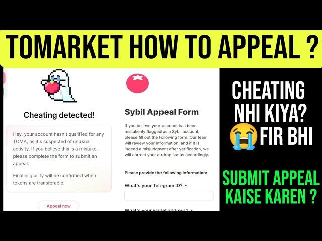 How To Appeal Tomarket Cheating Detected Tomarket | Cheating Detected Problem Tomarket Airdrop