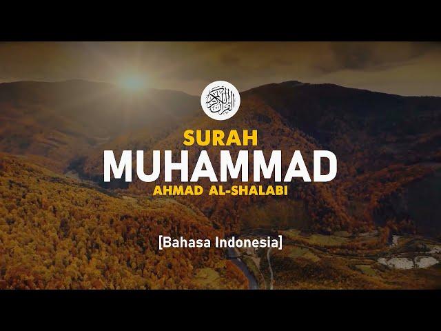 Surah Muhammad - Ahmad Al-Shalabi [ 047 ] I Bacaan Quran Merdu