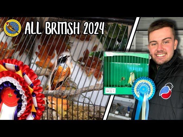 The UK’s LARGEST British Bird Show! | All British 2024