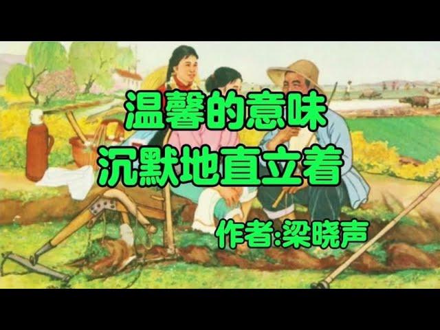 经典散文欣赏《温馨的意味》作者：梁晓声！