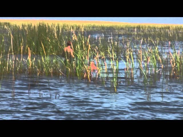 Lake Okeechobee 007