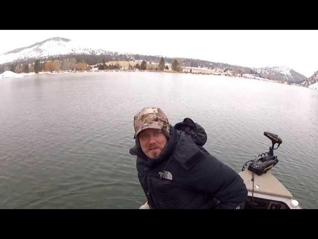 Winter Brown Trout on Hauser Lake