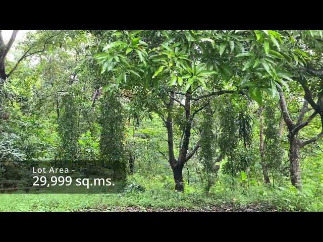 Farm Lot for Sale in Tanay, Rizal Very Near Daranak Falls