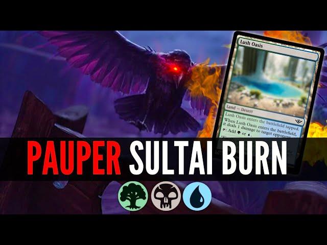 How YOU can Kill Your Opponents with ONLY LANDS in MTG Pauper