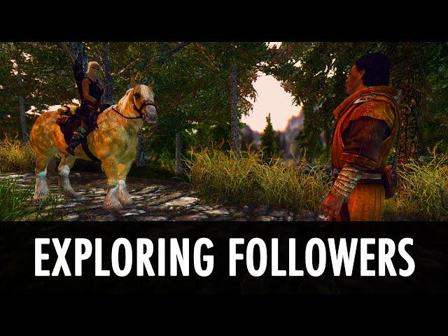 Skyrim Mod: Follower Goes On A Trip