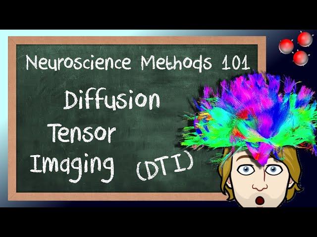 Diffusion Tensor Imaging (DTI) Explained! | Neuroscience Methods 101