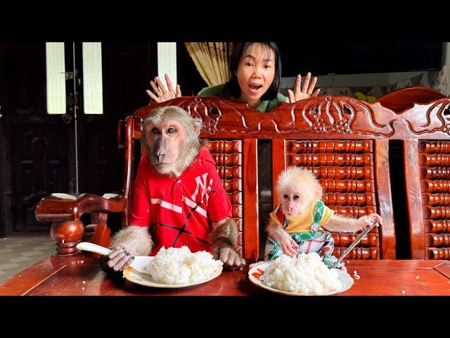 So funny! ABU and baby monkey eat rice secretly be discovered their Mom