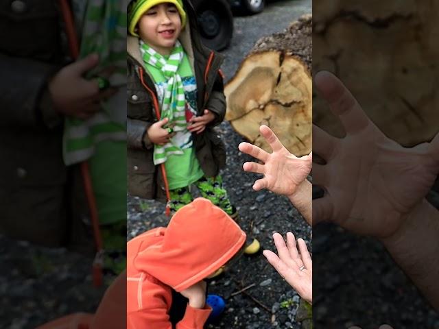 How to Find a Four Leaf Clover on Saint Patricks Day! #fourleafclover