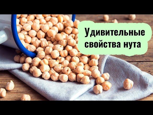 Польза и вред нута для здоровья. Научные факты. Способы приготовления нута.