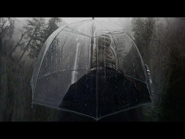 Rain on an Umbrella: Rainsounds on an Umbrella for Sleep and Relaxation (8 Hours) Rain ASMR