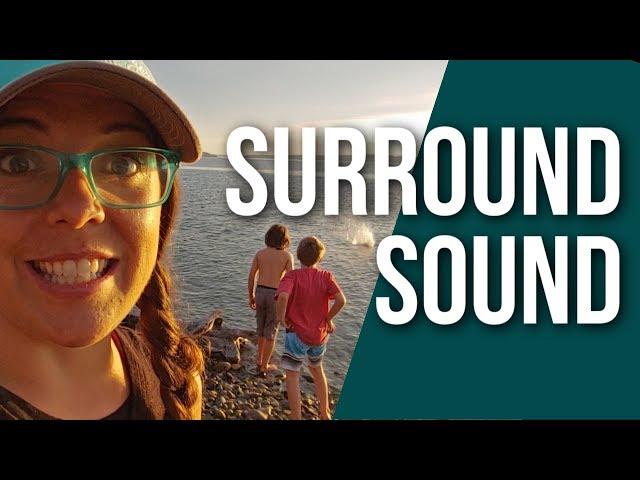 Things to See Around SOUTH PUGET SOUND // Exploring the PNW