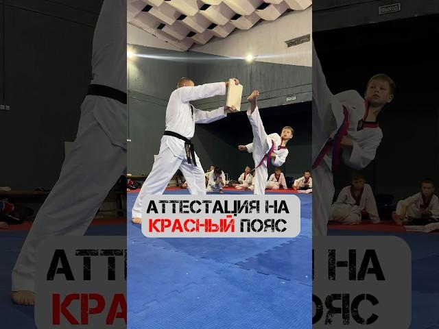 АТТЕСТАЦИЯ НА КРАСНЫЙ ПОЯС  #спорт #тренер #тхэквондо #дети #волгоград #единоборства