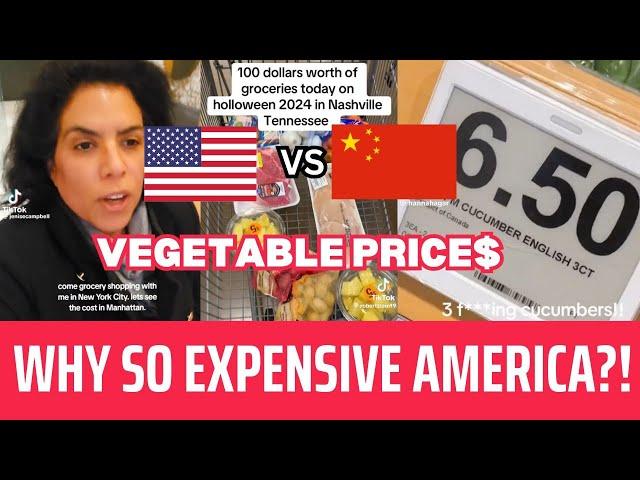 Comparing China vs America Vegetable Prices Will Blow Your Mind (Grocery Price Comparison!)