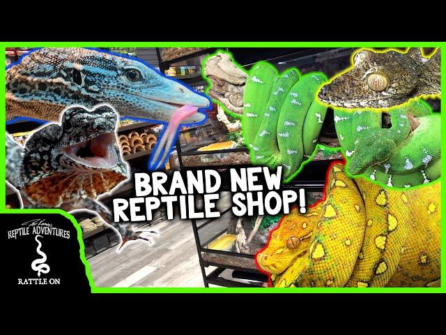 TOURING A BRAND NEW REPTILE SHOP IN SOUTH FLORIDA! (Cold Blooded Kingdom)