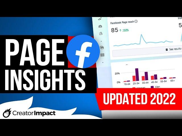 How to use Facebook Analytics in 2023 (Facebook Page Insights) learn about your audience!