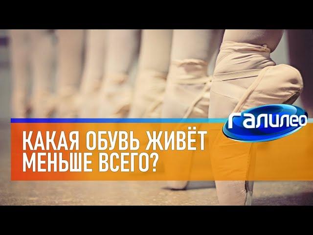 Галилео  Какая обувь живёт меньше всего?