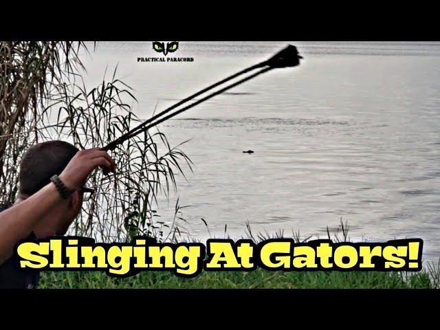 Rock Sling Hunting Practice. | Smiling Sling Vs. Coconut And Alligator!