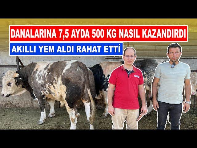 Danalarına 7,5 Ayda 500 Kg Nasıl Kazandırdı | Akıllı Yem Aldı Rahat Etti