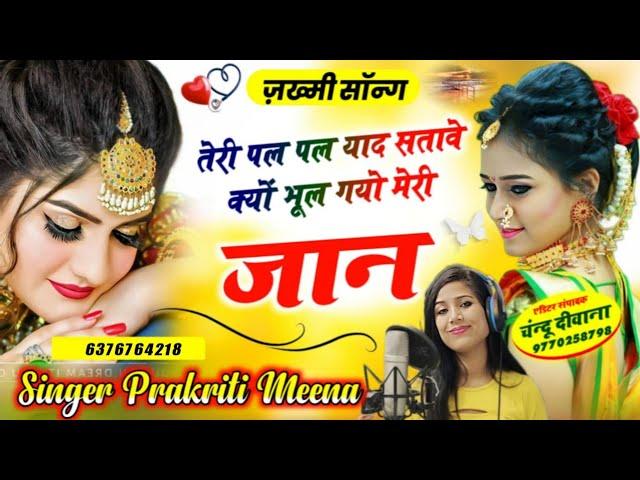 तेरी पल पल याद सतावे क्यों भूल गयो मेरी जान(58)#जख्मी_सॉन्ग #sadsong #djsong