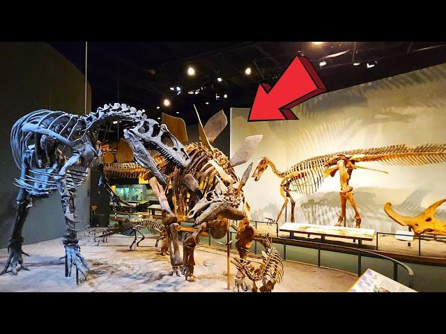 Museum of Nature & Science Denver Colorado Full Tour 2024