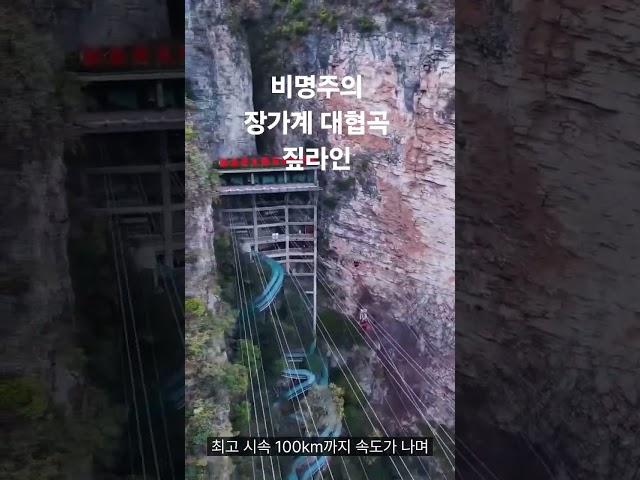 중국 장가계 대협곡 짚라인, 하늘을 나는 짜릿함! 직접 경험한 스릴 대공개