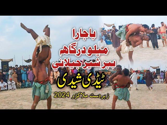 Jhangra Baajra: Mela Dargah Babar Sher Jilani 2024 | Teddy Sheedi Zabardast Malakhra | Malakhro