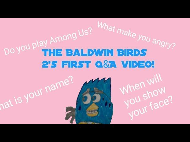 The Baldwin Birds 2's first Q&A video! 50 Subscribers special! (READ DESCRIPTION)