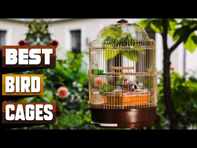 Best Bird Cage In 2025 - Top 10 Bird Cages Review