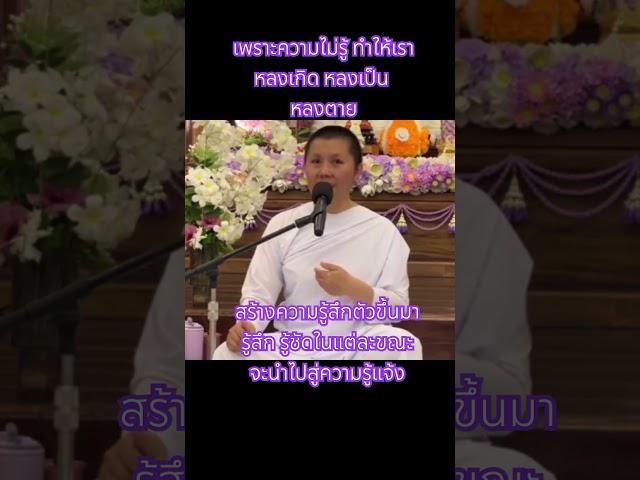 ความไม่รู้นำพาเราหลงเกิดหลงเป็นหลงตาย #หลง #แม่ชีเจิ้น #ธรรมะ #ธรรมะสอนใจ #ธรรมะสะกิดใจ #อานาปานสติ