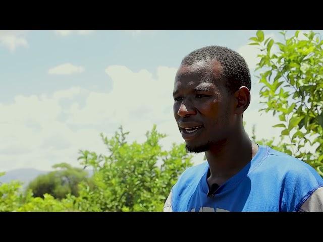 LEMON OASIS: CULTIVATING SUSTAINABILITY IN KERIO VALLEY'S LIME (HYBRID ) LEMON FARMING