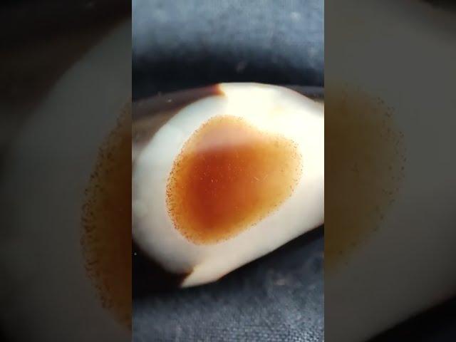 fake dzi bead ????#agate#dzi#ancient#beads#antique #tibetan#carnelian#chung